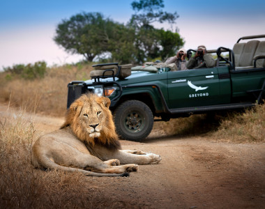 África do Sul e Safari Reservas Naturais Luxury 